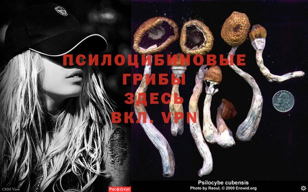 МДПВ Аркадак